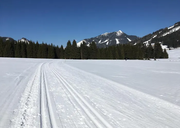 Σπίτι διακοπών Alte Muehle *