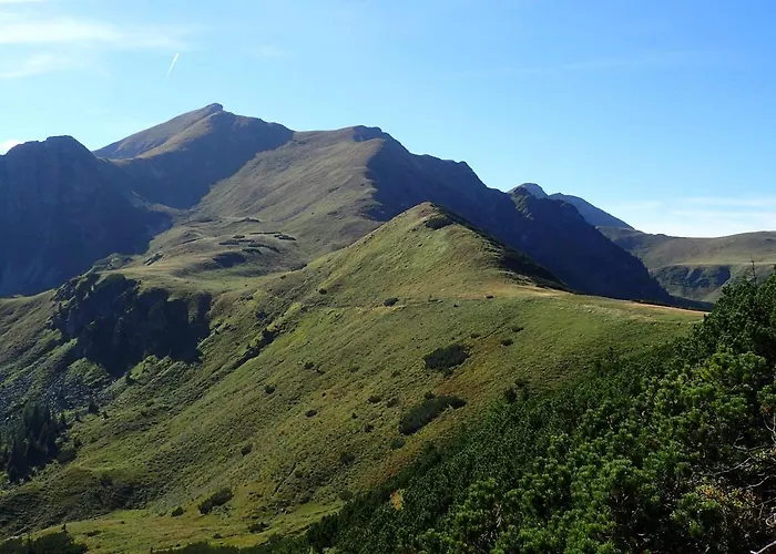 Alte Muehle * Hohentauern
